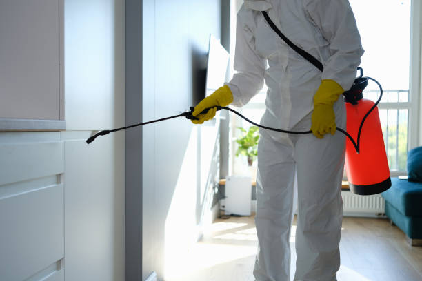 Best Insurance-Related Mold Remediation in Wormleysburg, PA