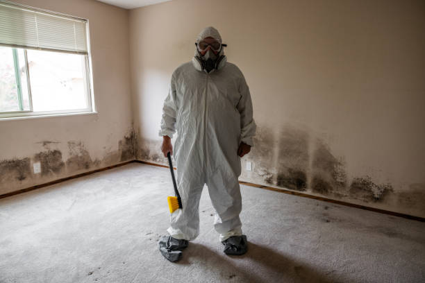 Wormleysburg, PA Mold Remediation Company